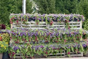 2026 Michigan Plant Tour: DGI Propagators