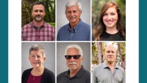 Meet the New Faces at Eason and Star Roses and Plants