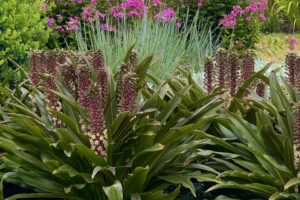2026 Michigan Garden Plant Tour: Walters Gardens