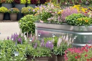 2026 Michigan Plant Tour: DGI Propagators