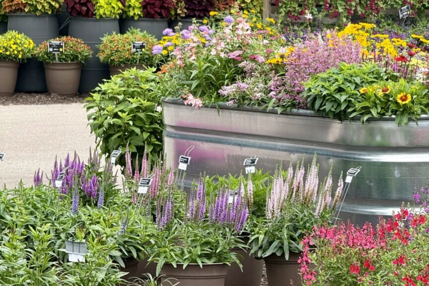 2026 Michigan Plant Tour: DGI Propagators