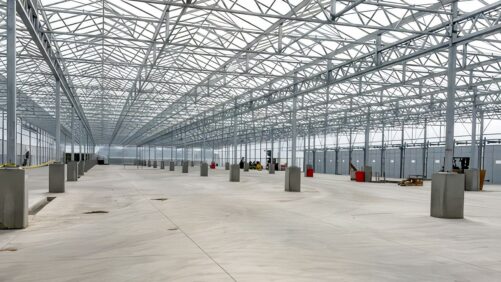 How Grower Direct Farms Is Rebuilding After Its 2025 Fire