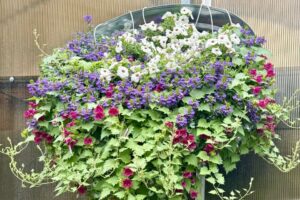 2026 Michigan Plant Tour: DGI Propagators