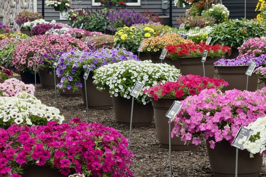 2026 Michigan Plant Tour: DGI Propagators