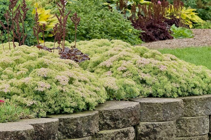 2026 Michigan Garden Plant Tour: Walters Gardens