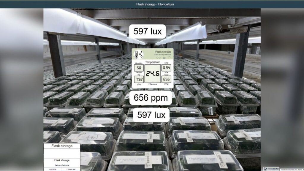Sensor readings in Floricultura’s flask room provide additional data on light and environmental conditions.
