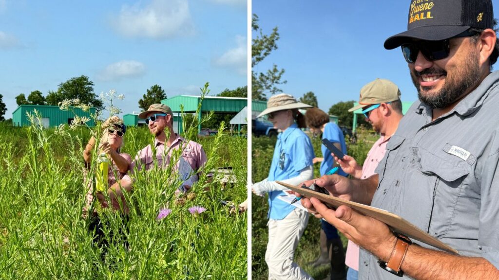 Spring Creek employees study native species and record observations during a training day at the nearby Coastal Prairie Conservancy.