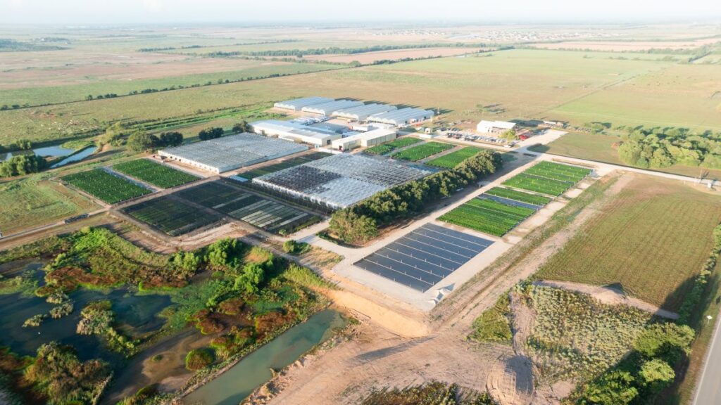 Spring Creek operates about 500,000 square feet of growing space on its 60-acre Waller, TX, property.