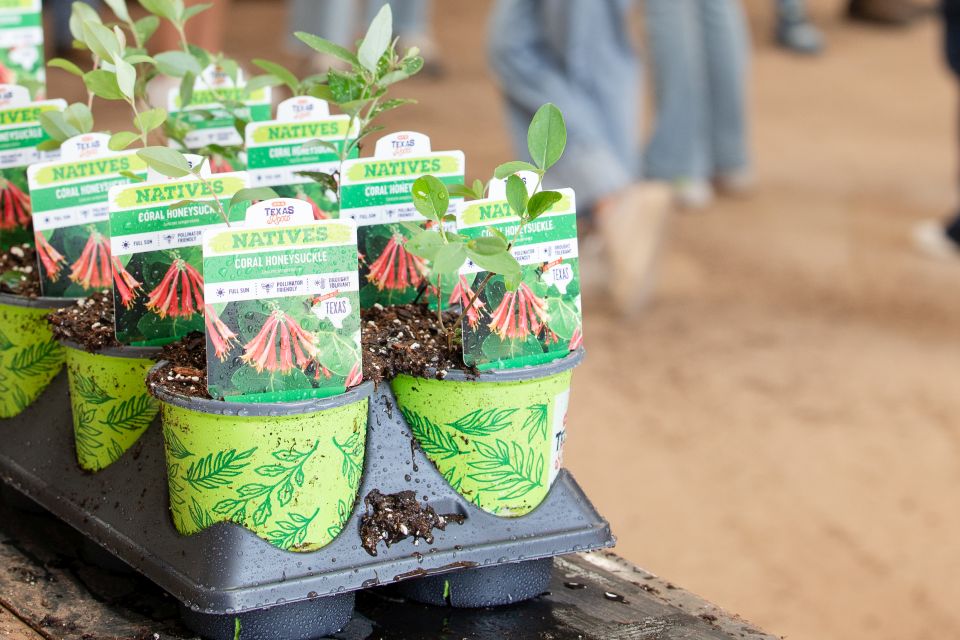 Visual tags help shoppers see how plants will look at maturity and understand their ecological role in the landscape.
