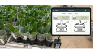 How Greenhouse Data Helps Grow Better Orchids