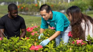 Registration Now Open for the 2026 Independent Plant Breeders Conference