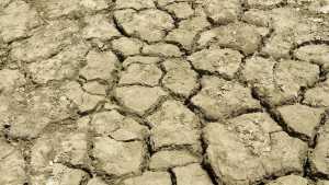 Opinion: California Growers Battle It Out For Water