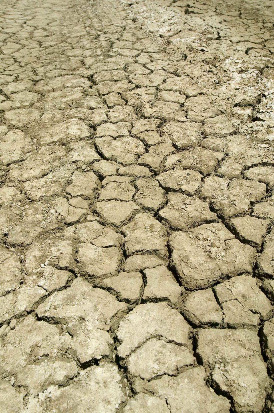USDA Announces Kick Off Of The International Year Of Soils
