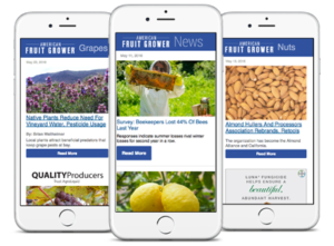 mockup of three phones showing american fruit grower enews