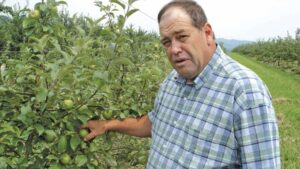 Apple Grower Of The Year Finds Success In Hard Work, Integrated Approach