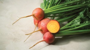 Sensory Test Shows Sakata’s Golden Beet Receives Top Score