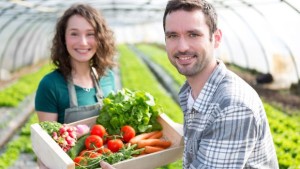 How You Can Supply The Farm-To-Table Movement [Online workshop]