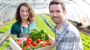 New Greenhouse Technician Certification Now Available