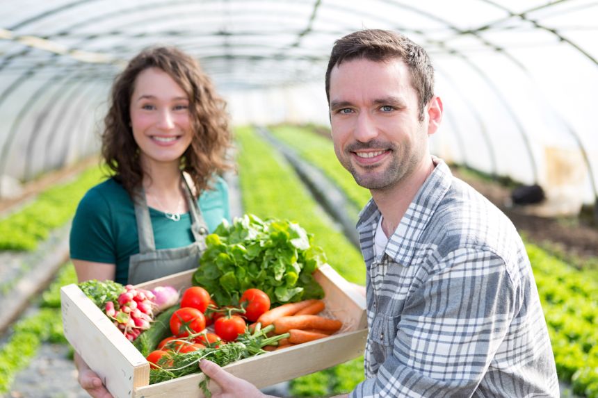 New Greenhouse Technician Certification Now Available