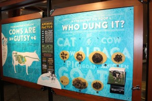 Dung display 