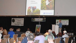 El Niño’s Naughty Nature Causing Concern For Florida Blueberry Crop