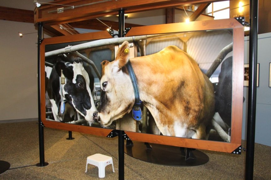 Large photos have an emotional impact