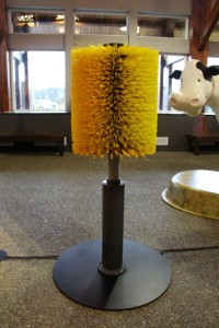 Self-grooming brush 