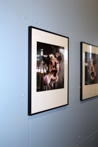 Tongue Twisters photo display