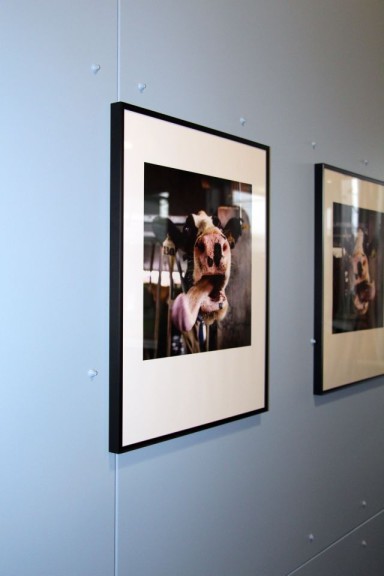 Tongue Twisters photo display