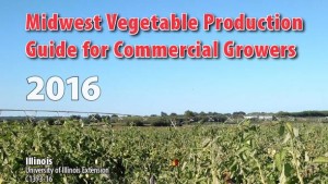 Extension Publications Available For Vegetable Growers