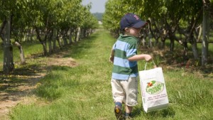 Are The Farm-Market Terms Consumers Google Included In Your Advertising?