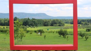 How Park Hill Orchard Uses Art To Attract Its Community