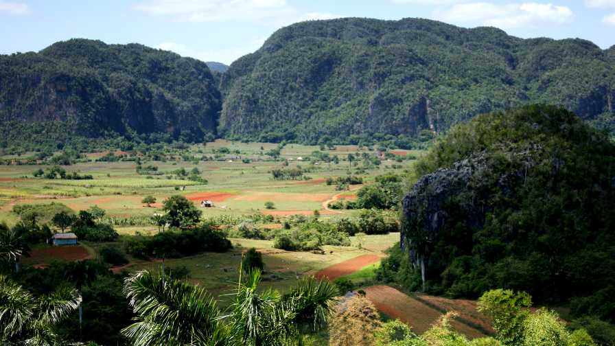 Cuba: Challenge Or Opportunity For Florida Agriculture?