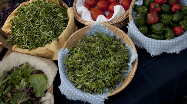 Want A Strong Profit? Find Outlets For All Of Your Produce