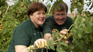Growing Vegetables In Winter Is A Competitive Advantage For Four Seasons Greenhouses
