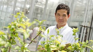 American Fruit Grower Contributor Receives Presidential Early Career Award