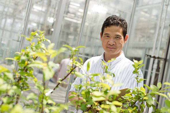American Fruit Grower Contributor Receives Presidential Early Career Award