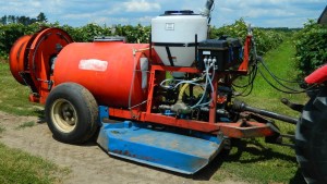 Perimeter Spraying For Grape Berry Moth Can Cut Costs