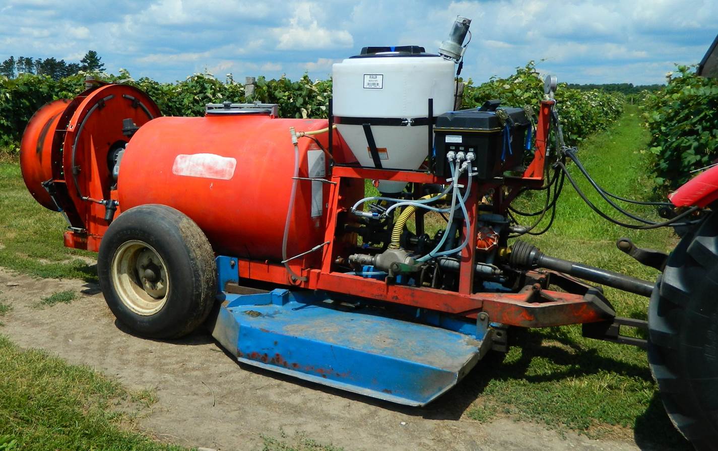 Perimeter Spraying For Grape Berry Moth Can Cut Costs