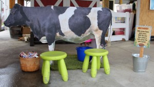 The milk harvest 