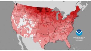 Reports Reveal Warmest Winter On Record For Contiguous U.S.