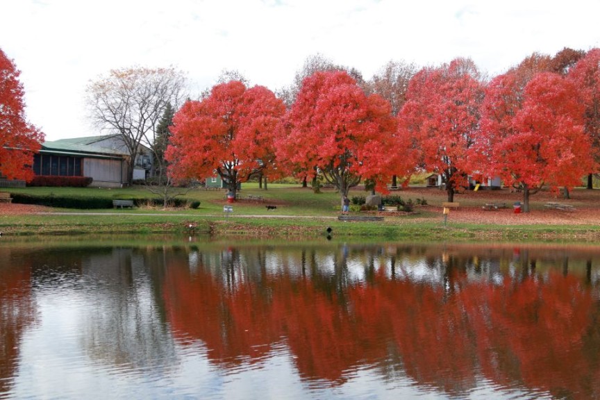 Picnic area around the lake
