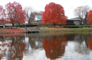 Road view of White House Fruit Farm
