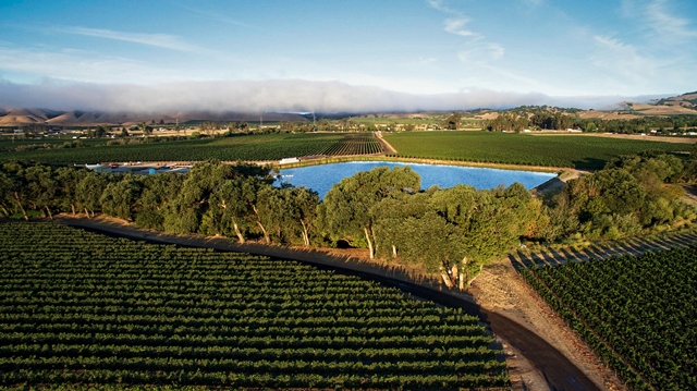 Wide Adoption Of Sustainable Winegrowing Practices In California