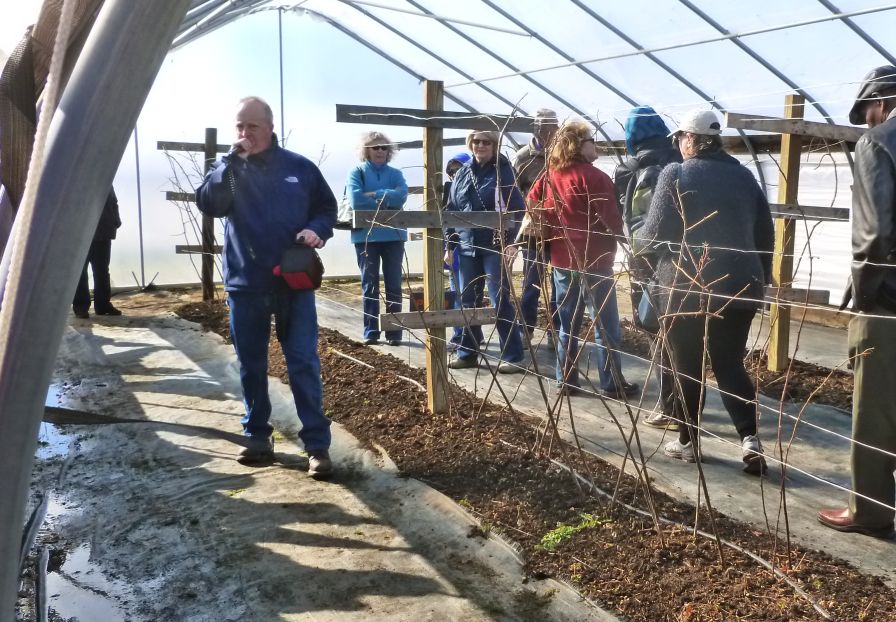 Longtime  American Fruit Grower Contributor Honored For Work In Berries
