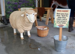 The wool harvest 