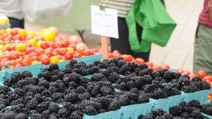 It’s Time To Rethink Grade Standards For Produce
