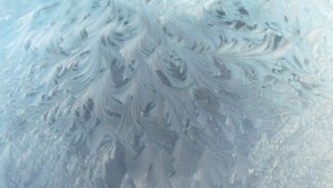 Ways To Get In Front of Frost Damage in Your Orchard