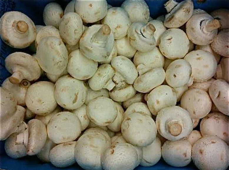 11. Mushrooms (Clean)