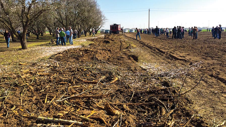 Whole Orchard Recycling Could Improve Soil Fertility